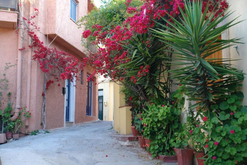 Eliathos Residence Houses 