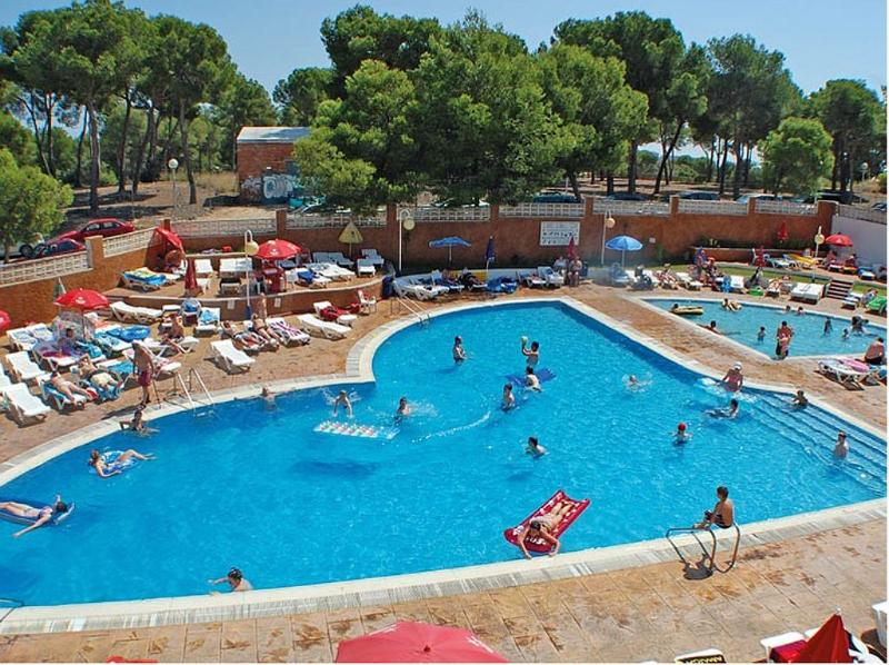 Internacional Ii Photo