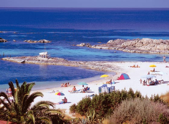 ROULETTE APTOS FORMENTERA - MEDIA MARATON