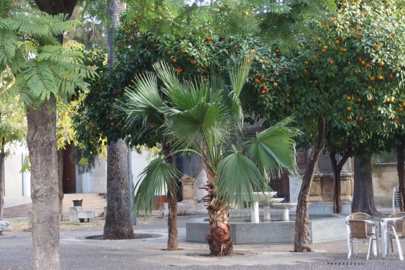 Apartaluz 