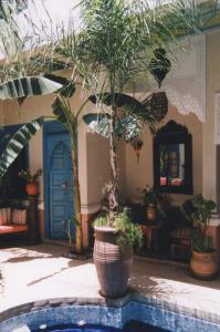 Riad Spa Sindibad Hotel