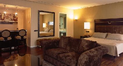 Hotel Husa 525