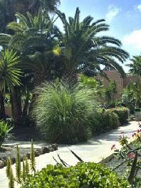 APTS LOBOS BAHIA CLUB