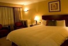 D4 Ballsbridge Inn image 4