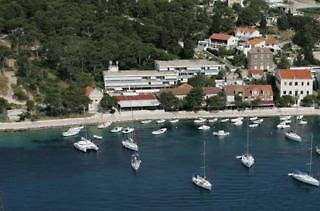 Delfin Hvar