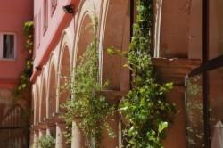 HOTEL TRH BAEZA