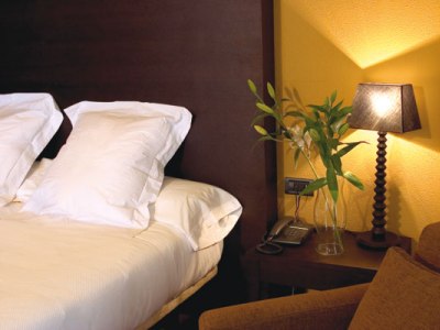 HOTEL CORTES DE LEON