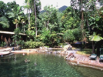 Cape Tribulation Resort