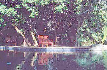 Cape Tribulation Resort