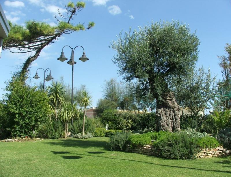 Hotel Bellevue Beach - sul mare 3